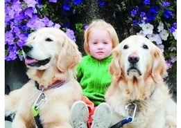 小比比图片,捕捉生活中的美好瞬间