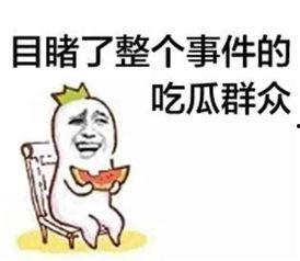 娱乐吃瓜酱过度解读,揭秘娱乐圈背后的真相与误解